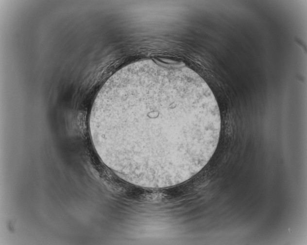 X0000102760695200809151015