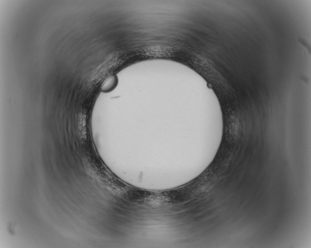 X0000102760696200809151015