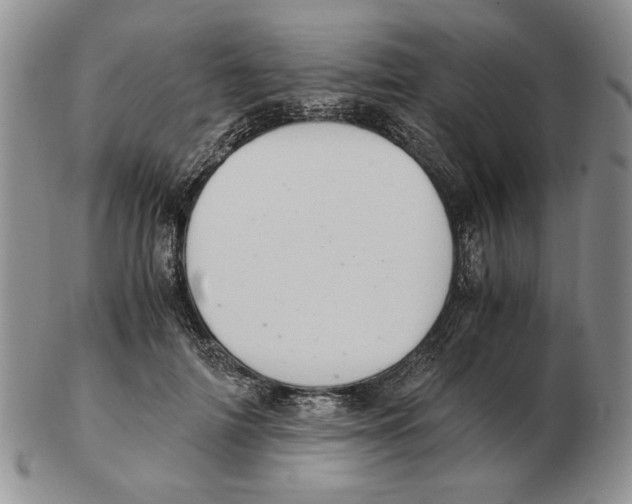 X0000102760698200809151015