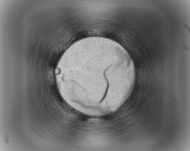 X0000102760699200809151015