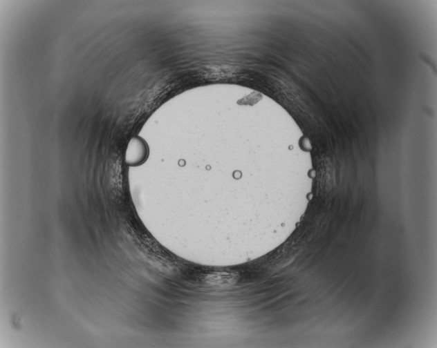 X0000102760700200809151015