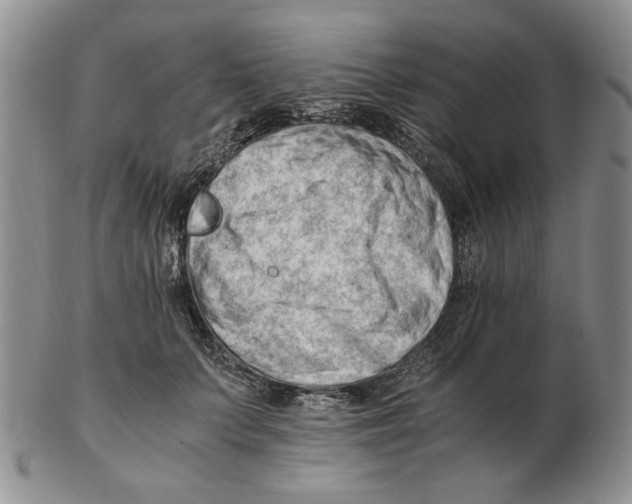 X0000102760703200809151015