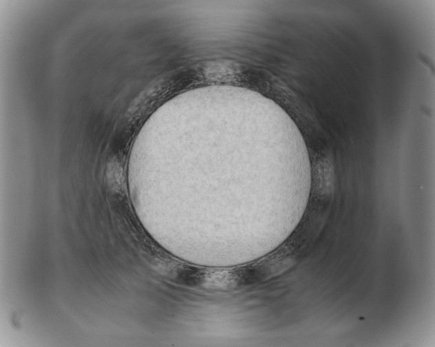 X0000102760705200809151015