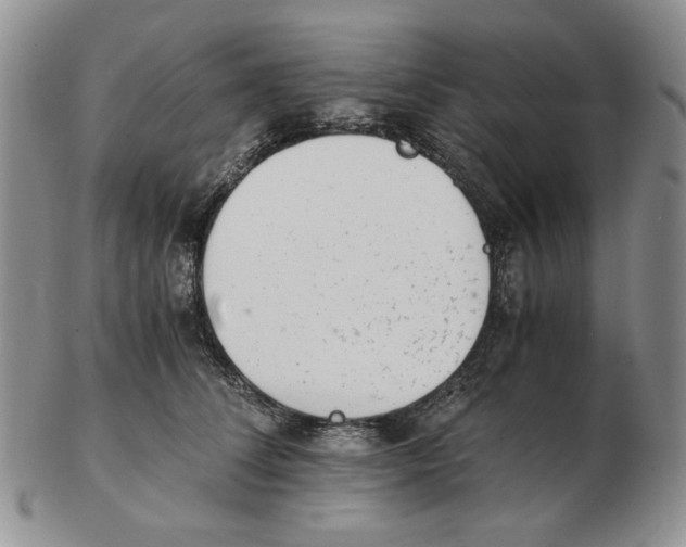 X0000102760708200809151014