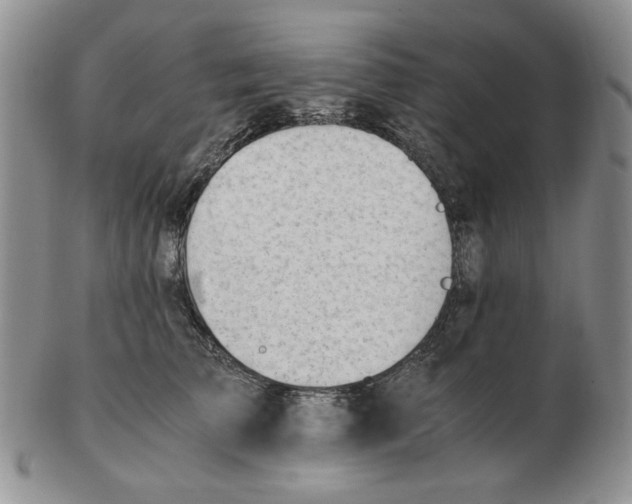 X0000102760709200809151014