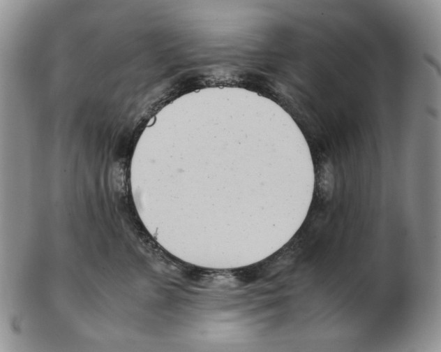 X0000102760715200809151014