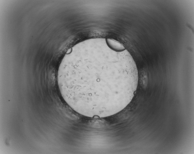 X0000102760716200809151014