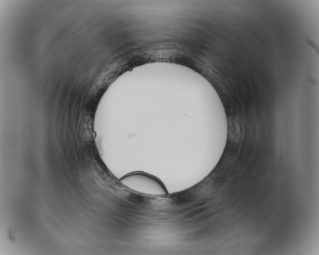 X0000102760718200809151014