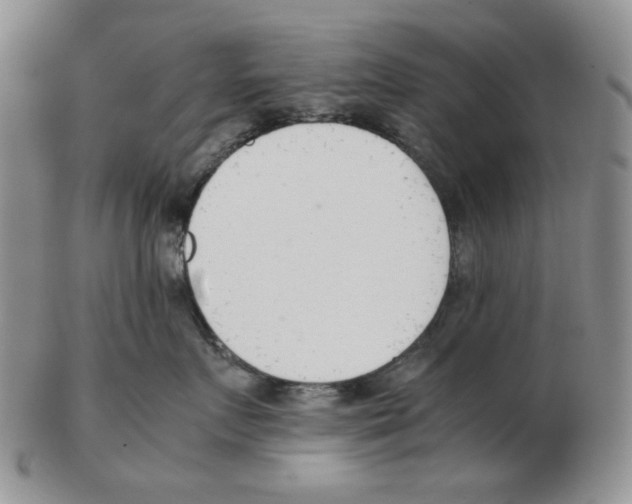 X0000102760719200809151014