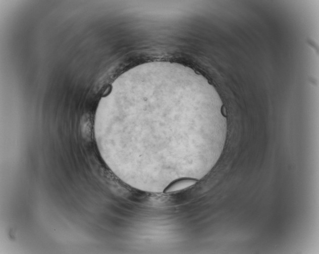 X0000102760720200809151014