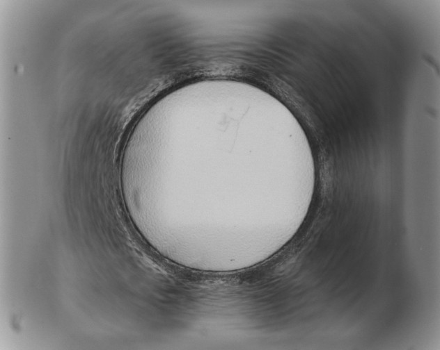 X0000102760721200809151014