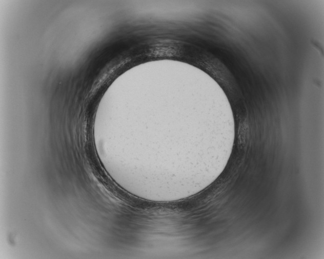 X0000102760722200809151014