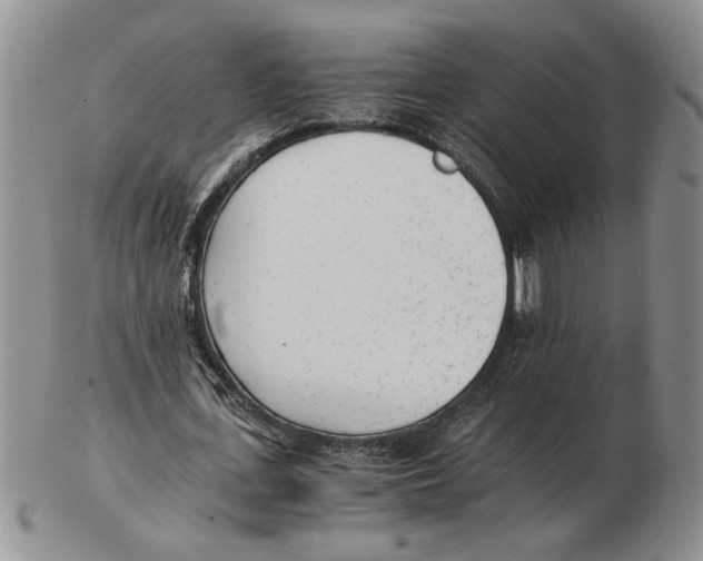 X0000102760723200809151014