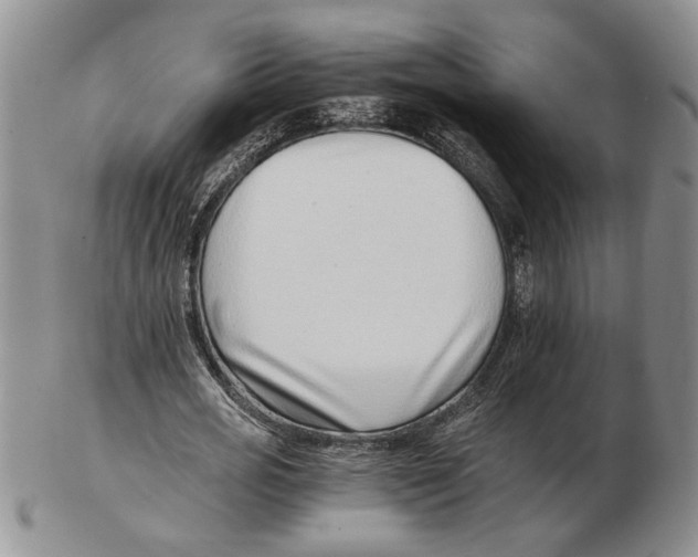 X0000102760725200809151014