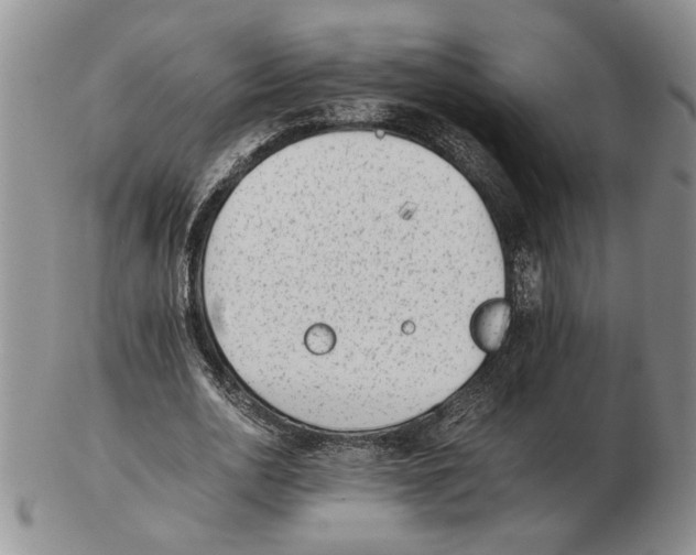 X0000102760726200809151014