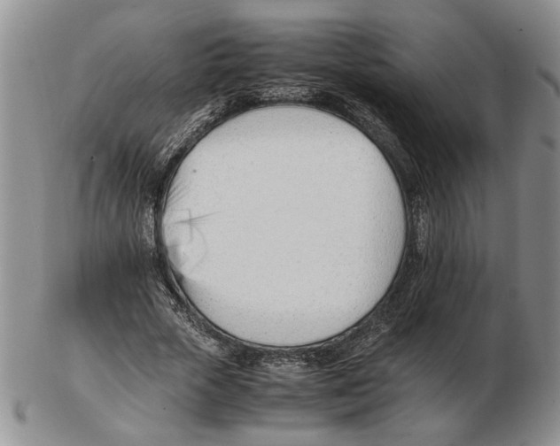 X0000102760729200809151014