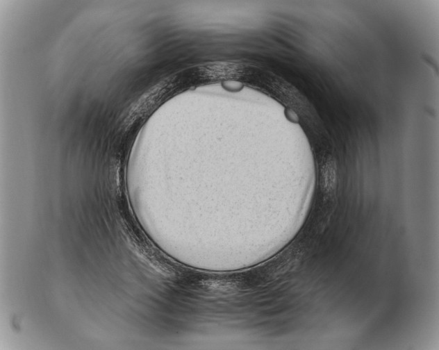 X0000102760733200809151014