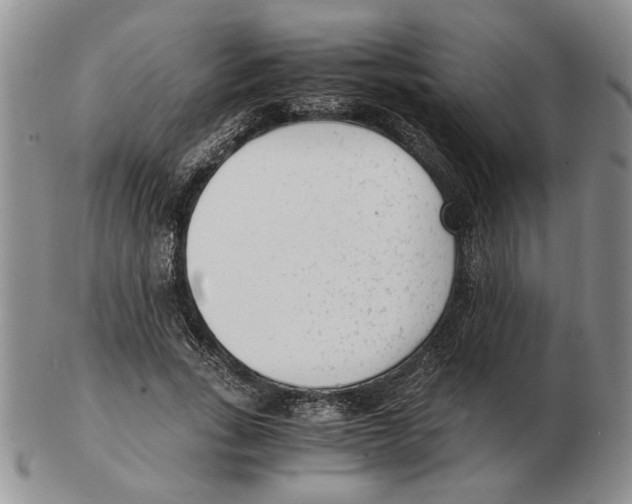 X0000102760735200809151014