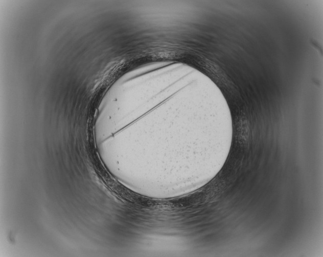 X0000102760738200809151014