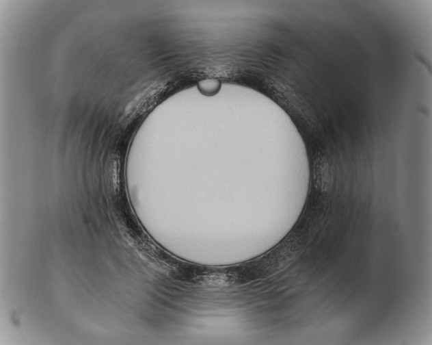 X0000102760740200809151014