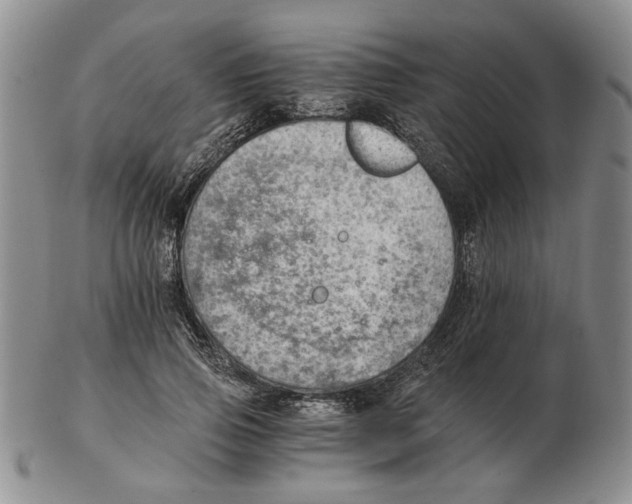 X0000102760741200809151014