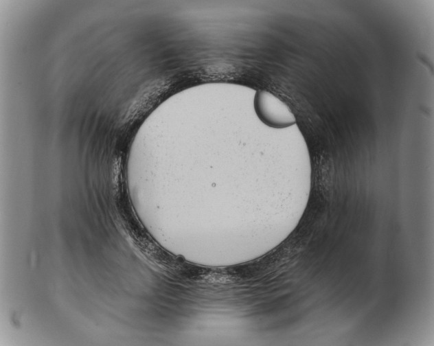 X0000102760742200809151014