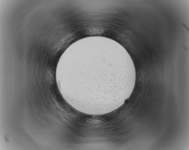 X0000102760743200809151014