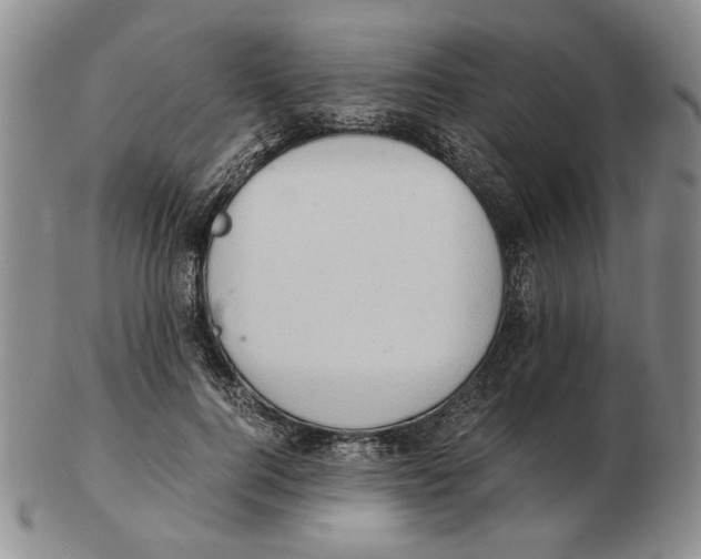 X0000102760744200809151014