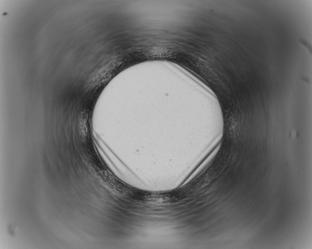 X0000102760746200809151014