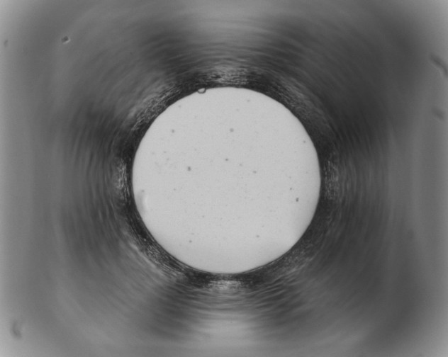 X0000102760748200809151014