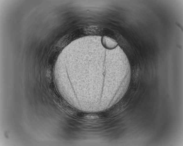 X0000102760749200809151014