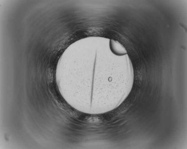 X0000102760751200809151014