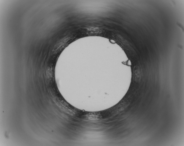 X0000102760756200809151014