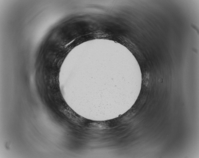 X0000102760763200809151014