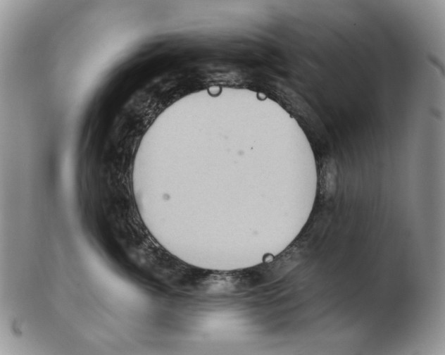 X0000102760764200809151014