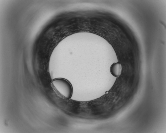 X0000102760766200809151014