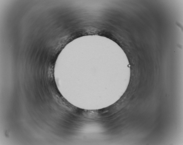 X0000102760768200809151014