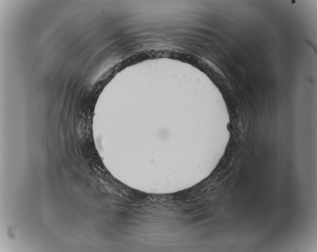 X0000102760775200809151014