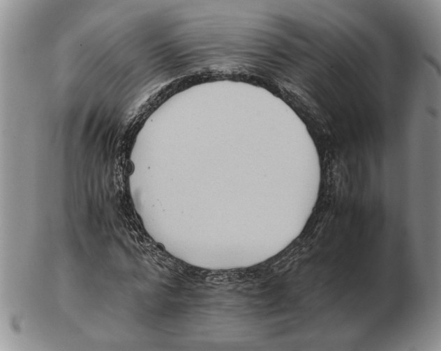 X0000102760776200809151014