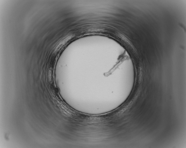 X0000102760777200809151014