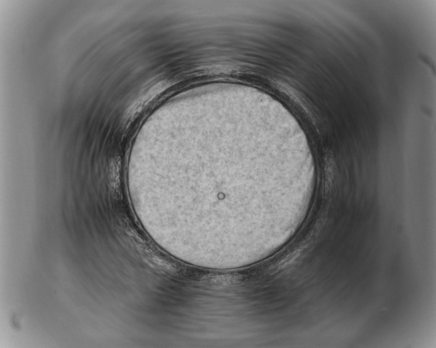 X0000102760778200809151014