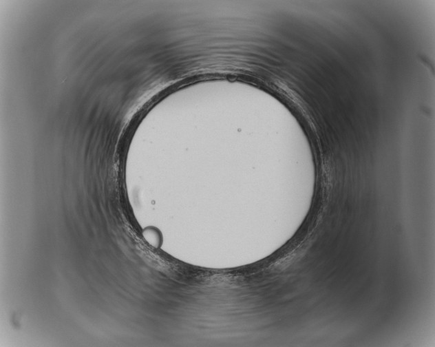 X0000102760779200809151013