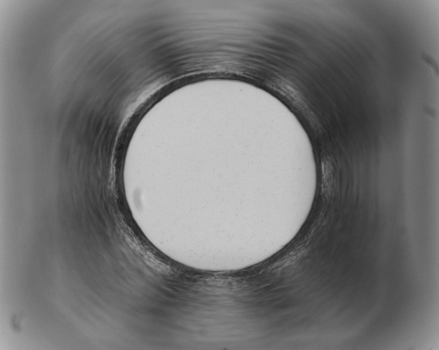 X0000102760780200809151013