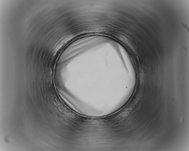 X0000102760781200809151013