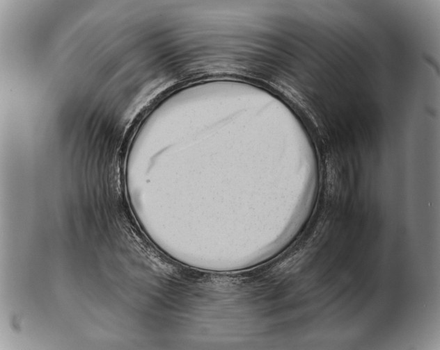 X0000102760782200809151013