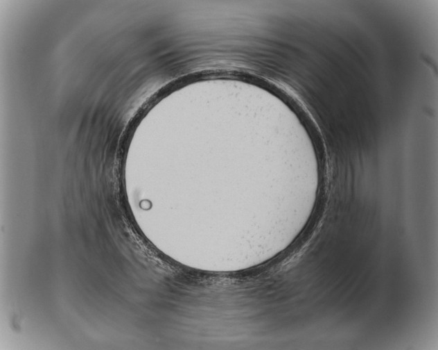 X0000102760783200809151013