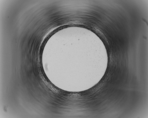 X0000102760784200809151013