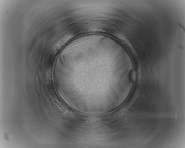 X0000102760785200809151013