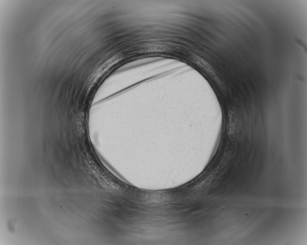 X0000102760786200809151013