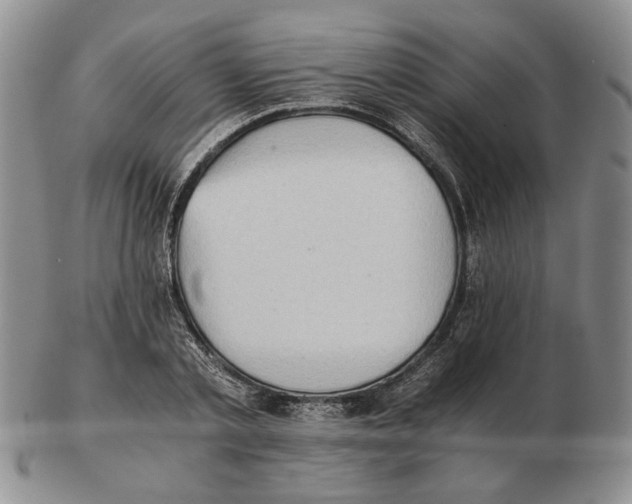 X0000102760789200809151013